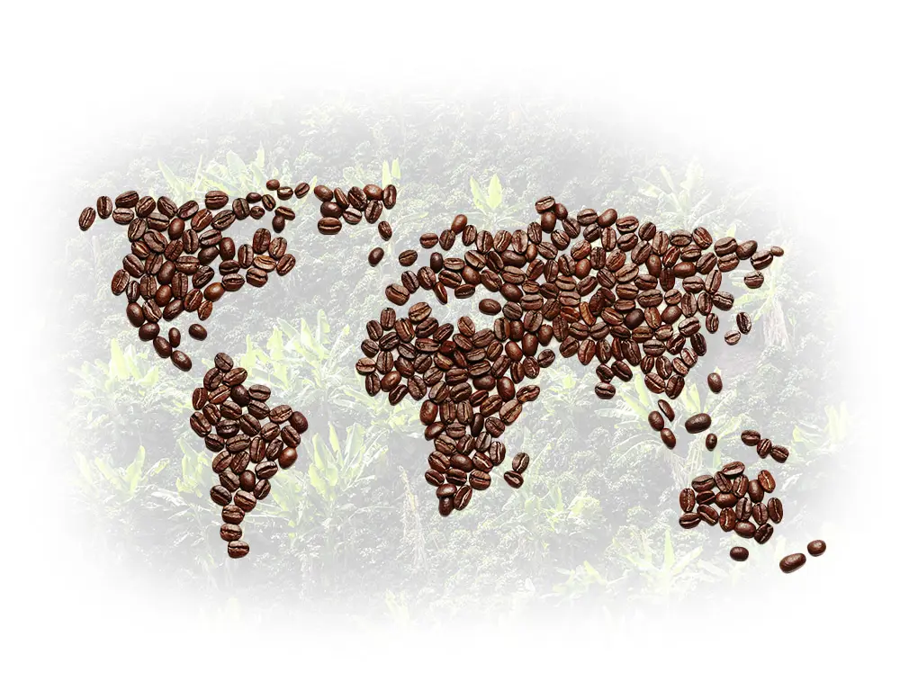 Coffee and its territory