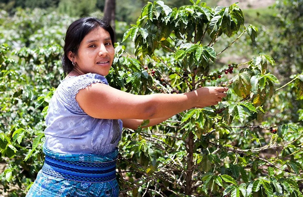 What is Fairtrade?