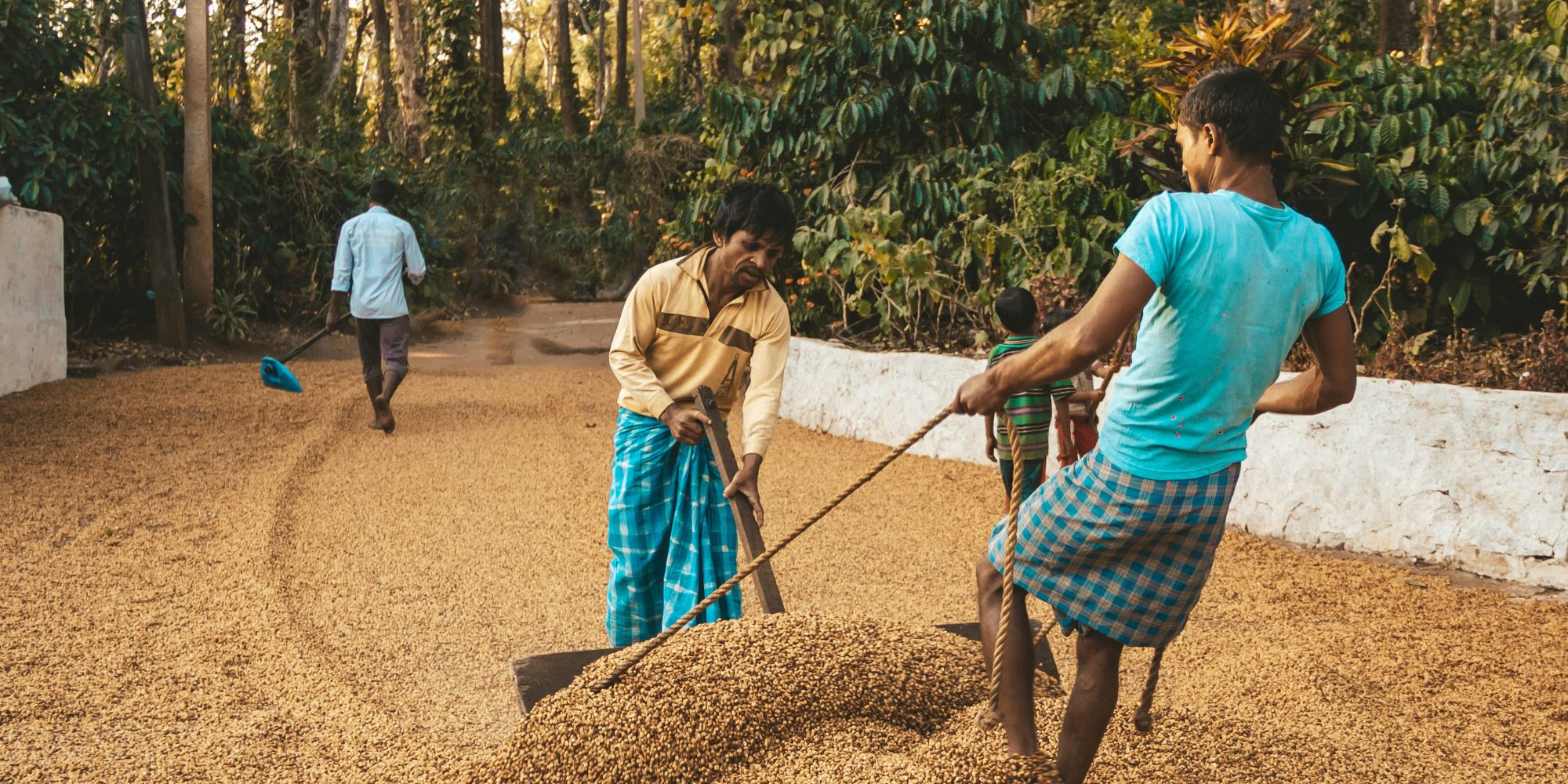 COFFEE UNDER PRESSURE: TIME FOR AWARENESS